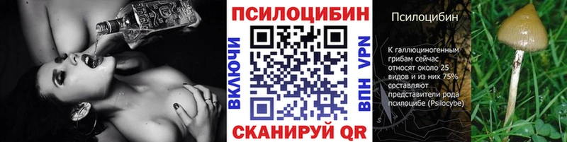 Псилоцибиновые грибы Psilocybe  Купить  Краснокаменск 